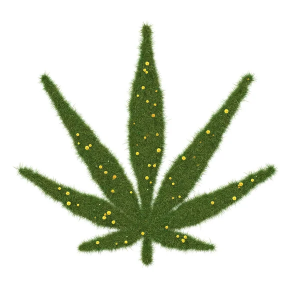 Marijuana Blad Ikon Gjord Realistiskt Gräs Isolerad Vitt Bild — Stockfoto