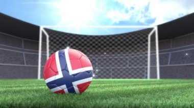 Norveç futbol topu, kamera flaşlarıyla stadyuma yuvarlanıyor. 3 Boyutlu Canlandırma