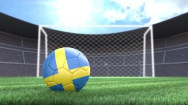 İsveç futbol topu, kamera flaşlarıyla stadyuma yuvarlanıyor. 3 Boyutlu Canlandırma