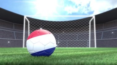 Fransa futbol topu, stadyuma kamera flaşlarıyla yuvarlanıyor. 3 Boyutlu Canlandırma