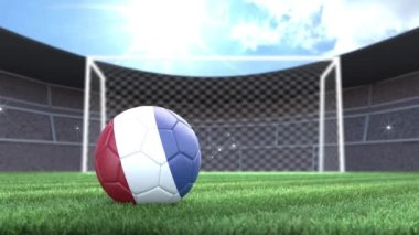 Hollanda futbol topu, kamera flaşlarıyla stadyuma yuvarlanıyor. 3 Boyutlu Canlandırma