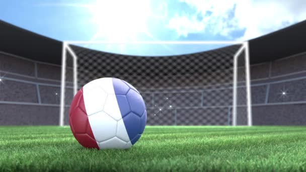 Balle Football Néerlandaise Rouler Dans Stade Avec Des Flashs Caméra — Video