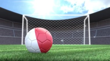 Polonya futbol topu, kamera flaşlarıyla stadyuma yuvarlanıyor. 3 Boyutlu Canlandırma