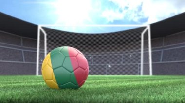Litvanya futbol topu, stadyuma kamera flaşlarıyla yuvarlanıyor. 3 Boyutlu Canlandırma