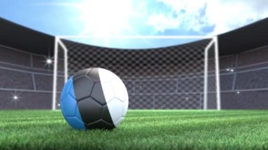 Estonya futbol topu, kamera flaşlarıyla stadyuma yuvarlanıyor. 3 Boyutlu Canlandırma