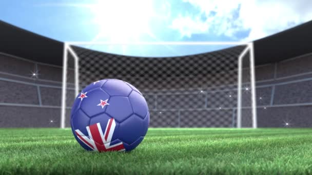 Nový Zéland Fotbalový Míč Valí Stadion Záblesky Kamer Animace — Stock video
