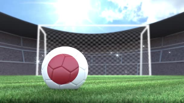 Japon Ballon Football Rouler Dans Stade Avec Des Flashs Caméra — Video