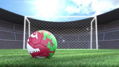 Galler futbol topu, stadyuma kamera flaşlarıyla yuvarlanıyor. 3 Boyutlu Canlandırma