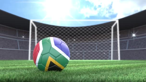 Balle Football Afrique Sud Rouler Dans Stade Avec Des Flashs — Video
