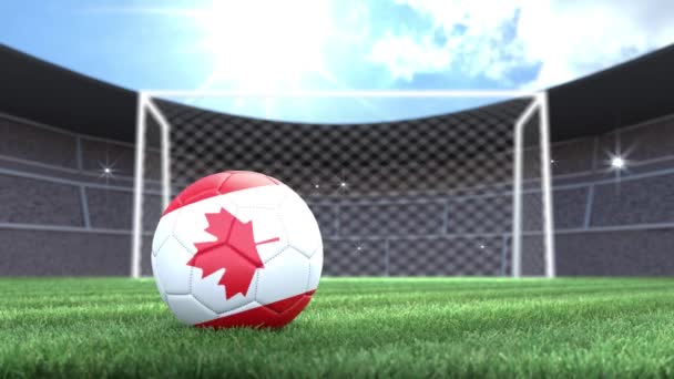 Canadá Bola Futebol Rolando Para Estádio Com Flashes Câmera Animação — Vídeo de Stock