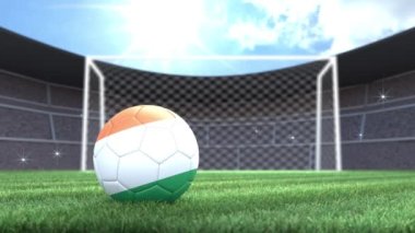 İrlanda futbol topu, stadyuma kamera flaşlarıyla yuvarlanıyor. 3 Boyutlu Canlandırma