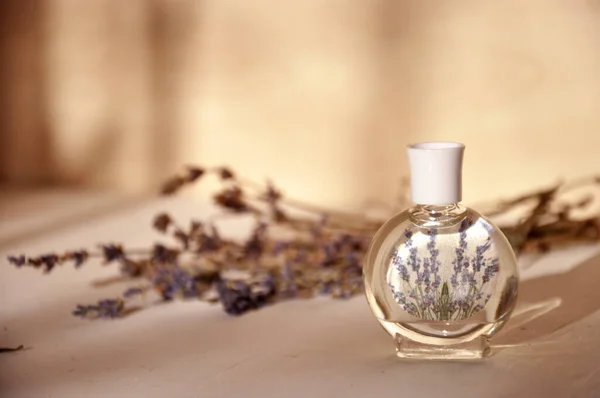 Lavender Oil Essential Botol Minyak Dengan Bunga Kering Lavender Sprigs — Stok Foto