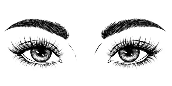 Augen Augenbrauen Lange Wimpern Handgezeichnete Schwarz Weiße Modeillustration Vektor Eps — Stockvektor