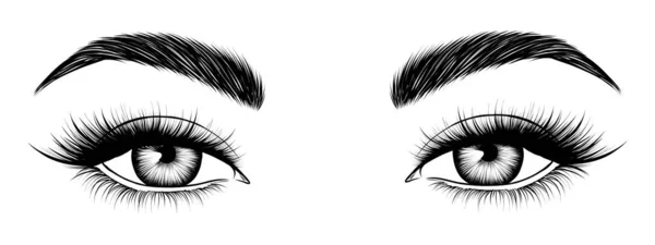 Ручные Женские Глаза Привлекательные Женские Глаза Черно Белый Скетч Иллюстрация — стоковый вектор