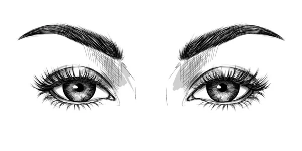 Глаза Выглядят Прямыми Иллюстрация Моды Спокойный Взгляд Око Бровями Длинными — стоковый вектор