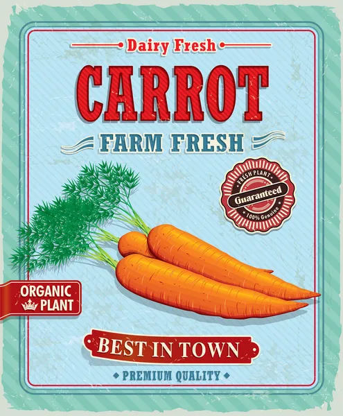 Vintage fattoria fresca carota poster design — Vettoriale Stock