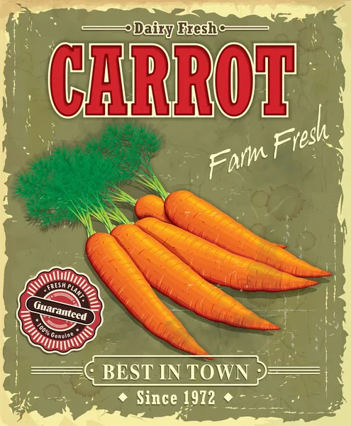 Vintage fattoria fresca carota poster design — Vettoriale Stock