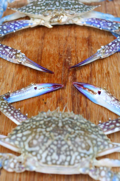 Blue crab. — Stock Photo, Image