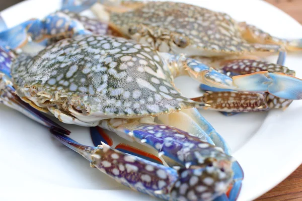 Blue crab. — Stock Photo, Image