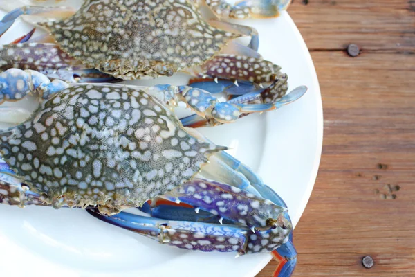 Blue crab. — Stock Photo, Image