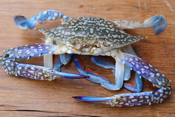 Blue crab. — Stock Photo, Image