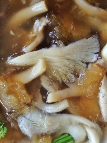 Kinesisk soppa - maw fisksoppa — Stockfoto