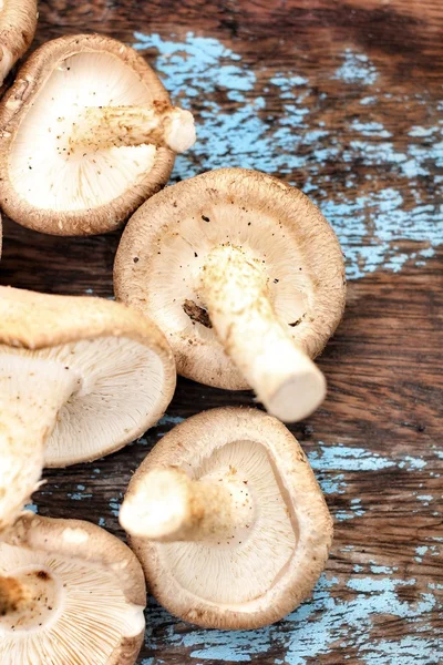 Shiitake paddestoelen — Stockfoto