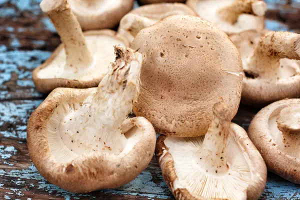 Shiitake mushroom — Stock Photo, Image