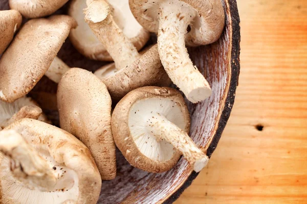 Shiitake paddestoelen — Stockfoto