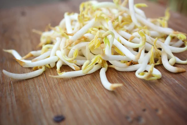 Bean Sprouts — Stock Photo, Image