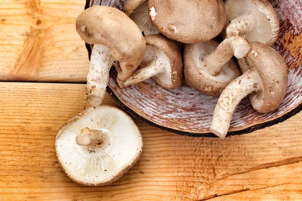 Shiitake paddestoelen — Stockfoto