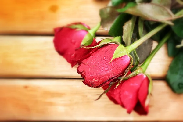 Red rose — Stock Photo, Image