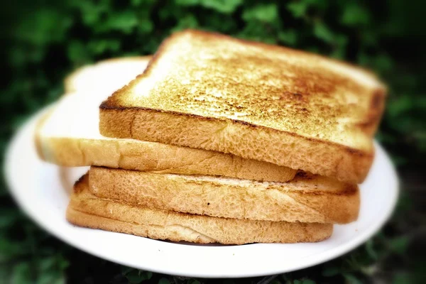 Pan tostado en rodajas — Foto de Stock