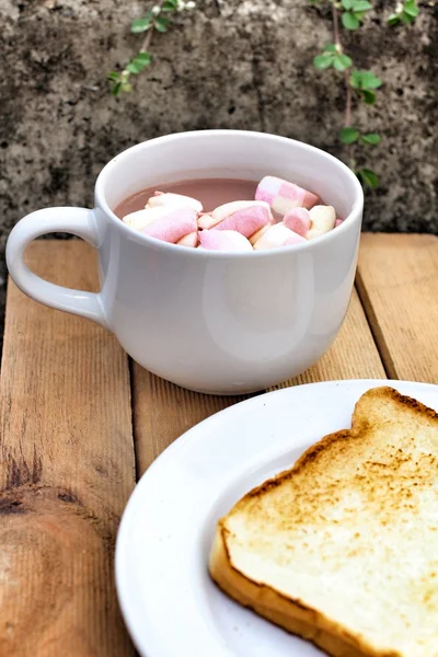 Cioccolata calda e marshmallow — Foto Stock