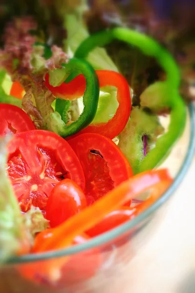 Gemüsesalat — Stockfoto