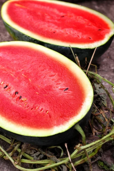 Wassermelone — Stockfoto