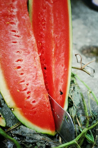 Melancia — Fotografia de Stock