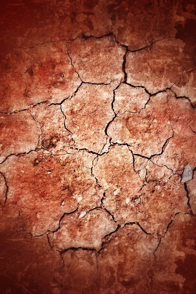 Rachado de solo seco — Fotografia de Stock