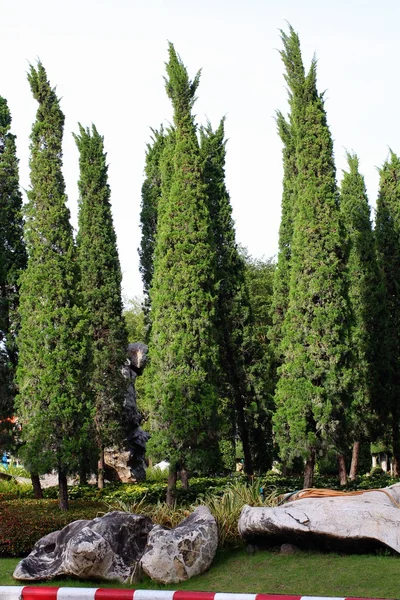 Jardín Inglés —  Fotos de Stock