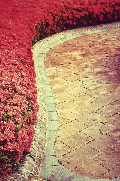 Walkway in the park — Stock Photo, Image