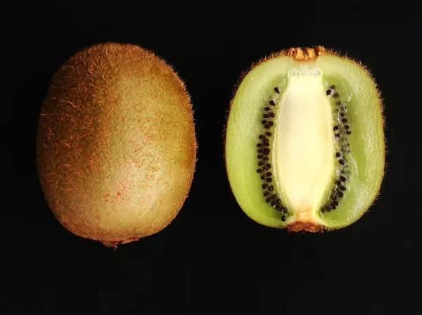 Kiwi fruite — Stok Foto