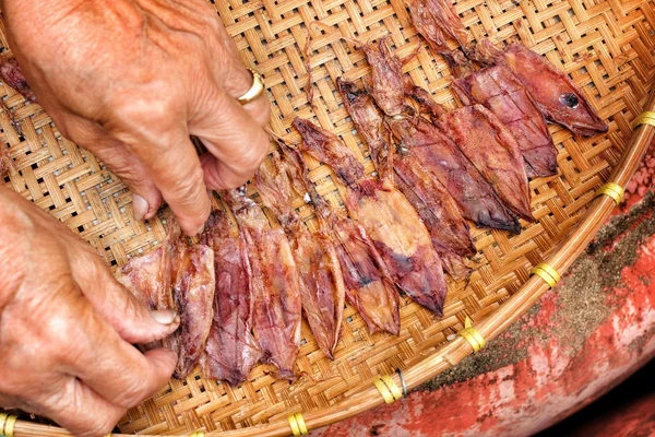 Tintenfisch — Stockfoto