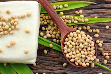 soya fasulyesi ve soya peyniri