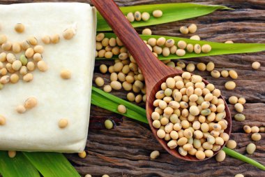 Soybeans and tofu clipart