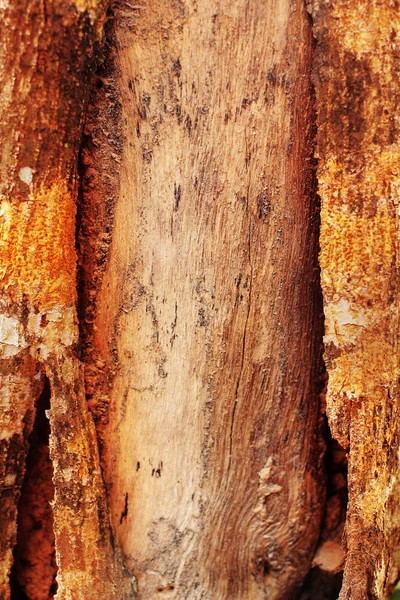 Старая лесопилка — стоковое фото