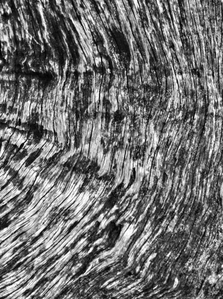 Antiguo suelo negro de madera —  Fotos de Stock