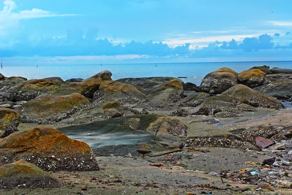 Skerries on the beach — Stock Photo, Image