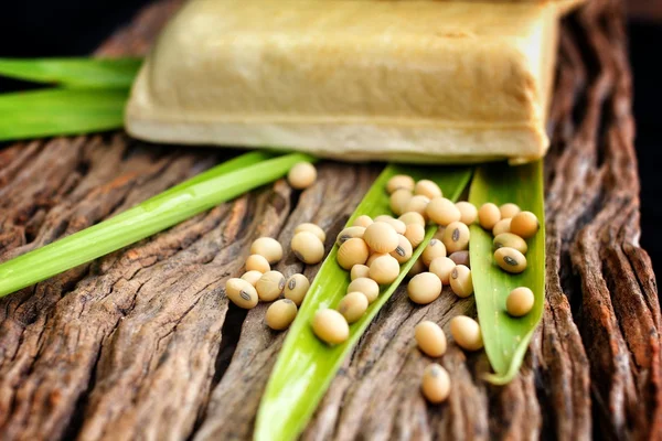 Sojabönor och tofu — Stockfoto