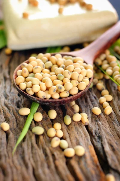 Soybeans and tofu — Stock Photo, Image