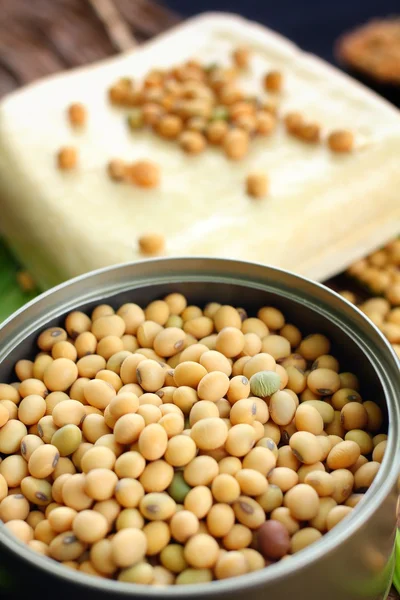 Soybeans and tofu — Stock Photo, Image